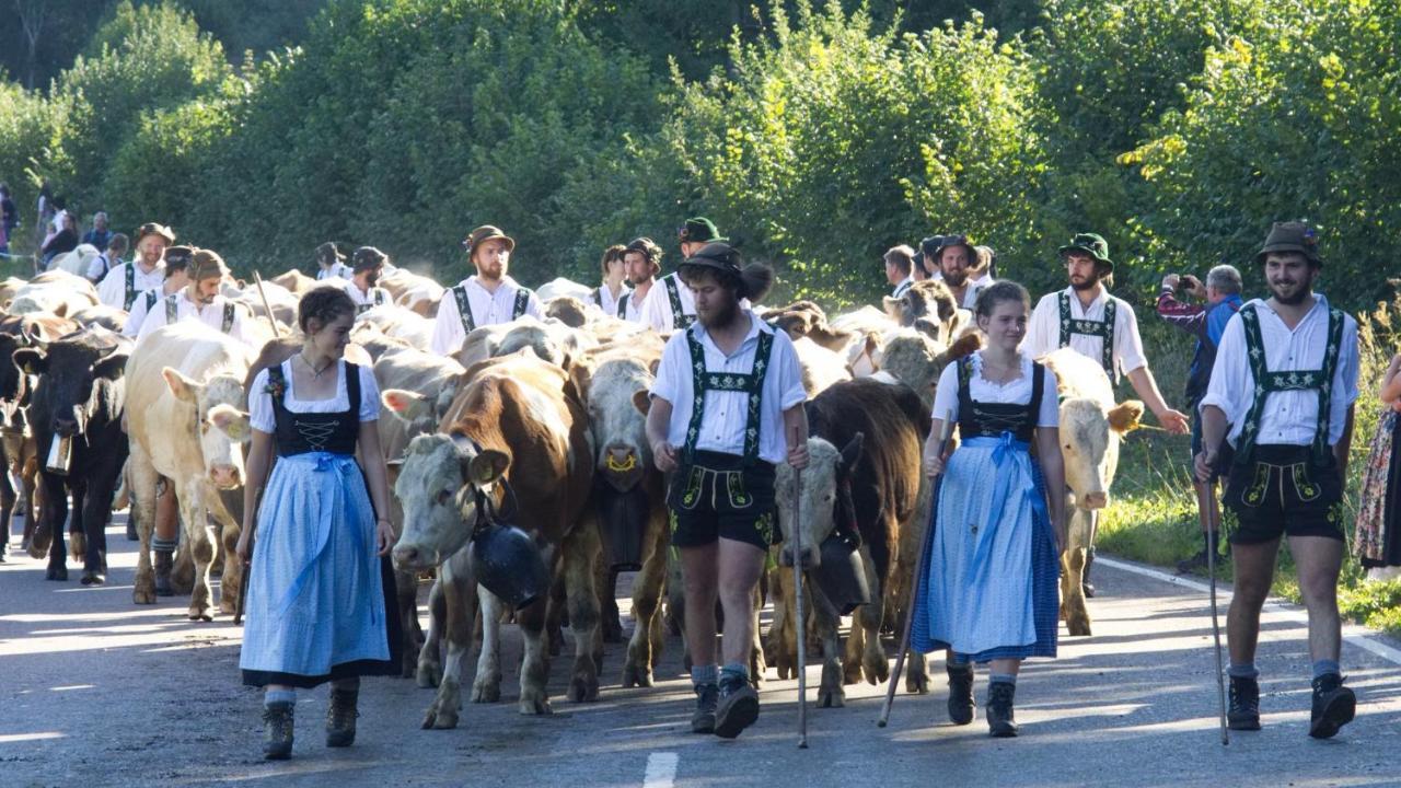 Fewo "Staufen Lodge" Oberstaufen Zewnętrze zdjęcie