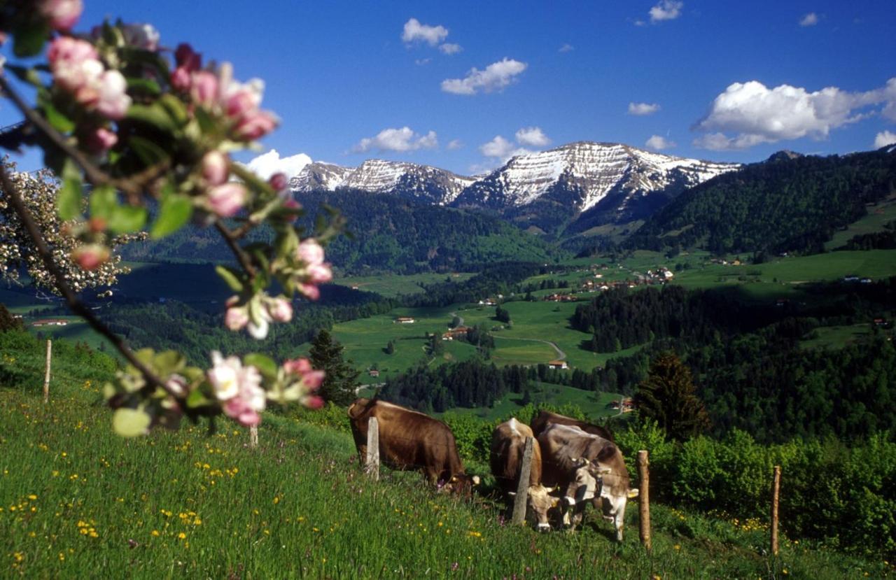 Fewo "Staufen Lodge" Oberstaufen Zewnętrze zdjęcie